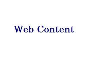 Portfolio for Web Content